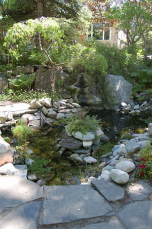 The Pond at Vale's Greenhouse